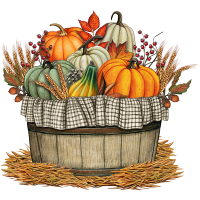 basket of pumpkins