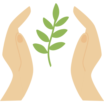 hands holding plant